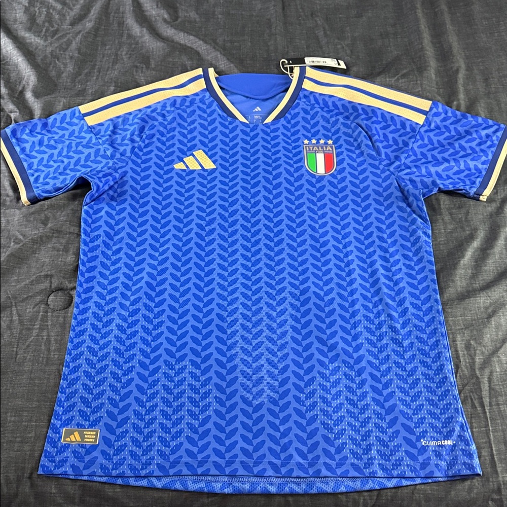 Italy 🇮🇹 2026 FIFA World Cup Adidas Heat.Rdy Player Edition Jersey